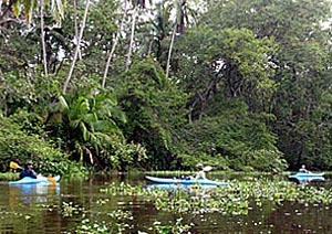 kayaking