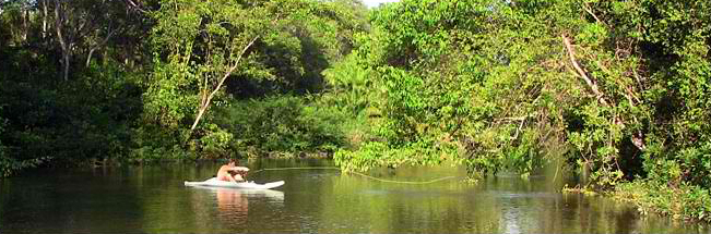 sierpe-river-fishing